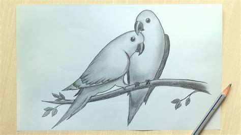 LOVE BIRD DRAWING How to draw two parrots in love (Love Bird- Parrot D ...