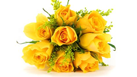 Yellow Rose Backgrounds