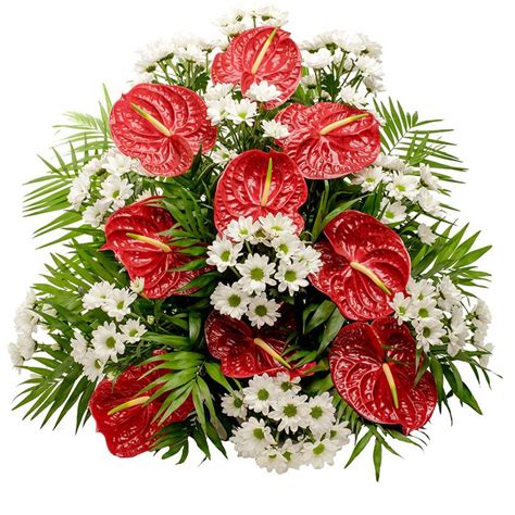 anthurium flower arrangements - Google Search | Anthurium flower, Anthurium, Flower arrangements