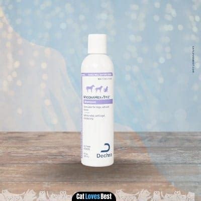 The 5 Best Ringworm Shampoo for Cats in 2023