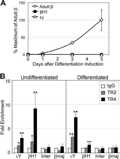 TR2/TR4 bind to the murine embryonic ␤ -type globin gene promoters in ...