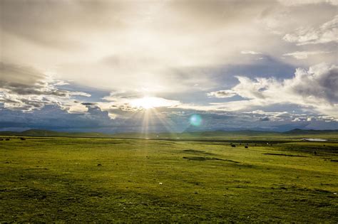 Changtang Plateau in Nagqu: Features and Tips – Tibet Tours, Tibet ...