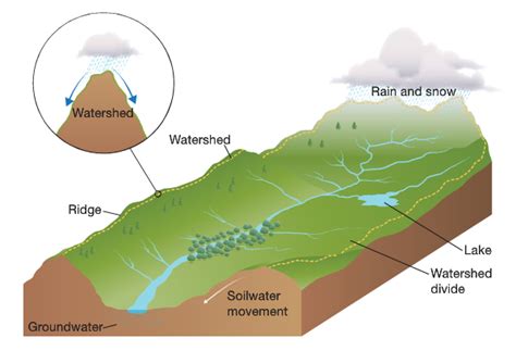 Catchment - Year 7 Geography