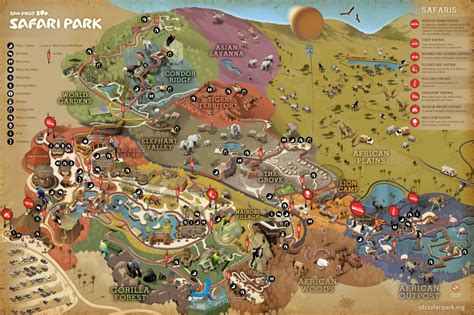 san diego zoo safari park map | المرسال