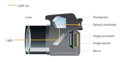 How Does a Mirrorless Camera Work - AdvisorBIT