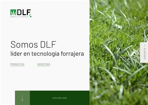 DLF Seeds - Awwwards Honorable Mention