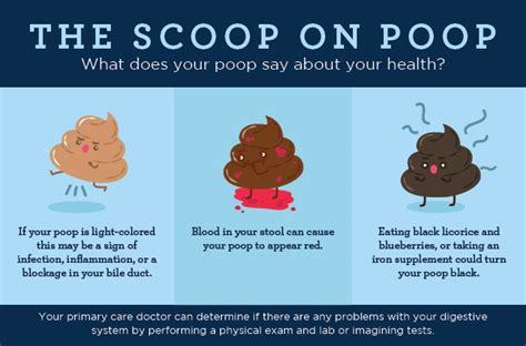 Poop Appearance - The Scoop on Your Poop's Size, Shape & Color