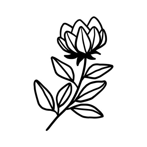 Vintage hand drawn peony flower line art vector element 34957128 Vector ...