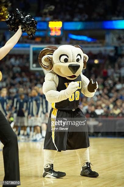 22 Vcu Mascot Rodney Stock Photos, High-Res Pictures, and Images ...