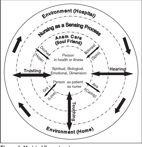 Figure 1 from A Conceptual Model of Nursing | Semantic Scholar