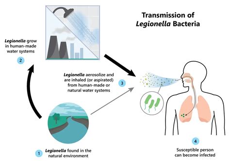 Legionella | Alabama Department of Public Health (ADPH)