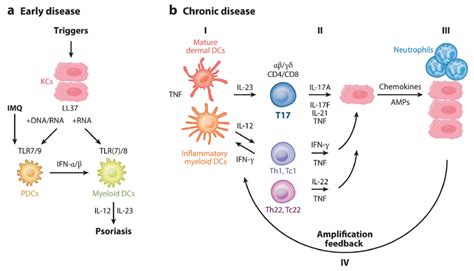 Mechanism of Action Matters: A Review of New and Emerging Biologics