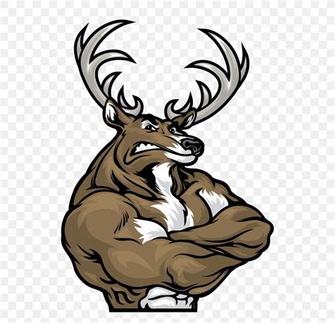 Muscle Deer