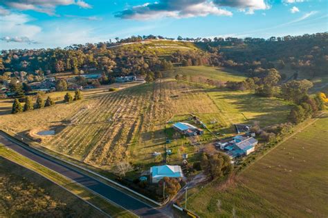 Mount Panorama residents live the Bathurst 1000 dream despite COVID-19 spectator limits - ABC News