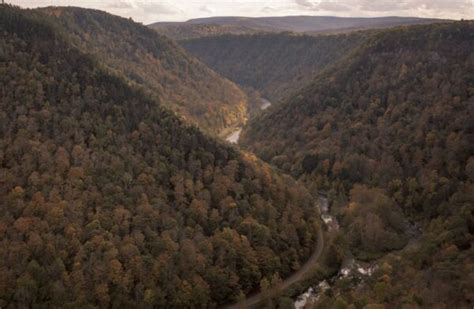 Exploring the Pennsylvania Grand Canyon's Trails, Vistas, and Waterfalls