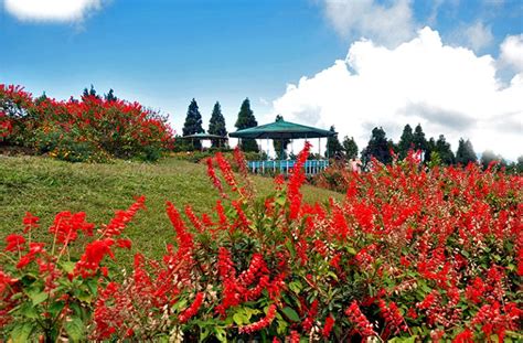 Kalimpong West Bengal - Luxury Trails of India