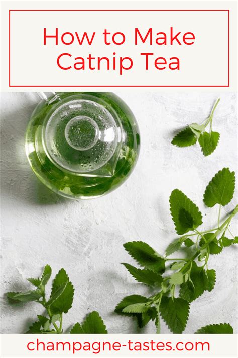 Catnip Tea - An Easy Herbal Tea from the Garden - Champagne Tastes®