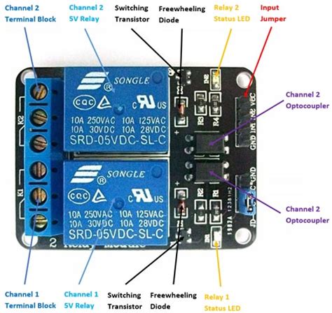 2 Channel Relay Module (5V,10A) | CE Store