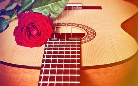 28+ Easy Acoustic Guitar Love Songs for that Special Someone