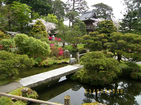 japanese koi pond | Koi pond | Pinterest