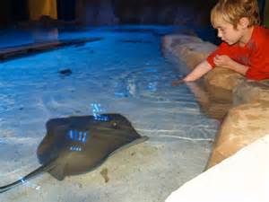 Just Opened: The Portland Aquarium Delivers Hands-On Fun