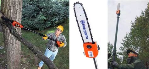 The 5 Best Manual Pole Pruners | Dengarden