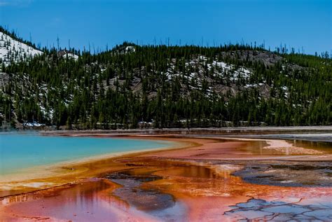 Midway Geyser Basin