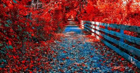 Autumn 4k 3840x2160 Wallpapers - Wallpaper Cave