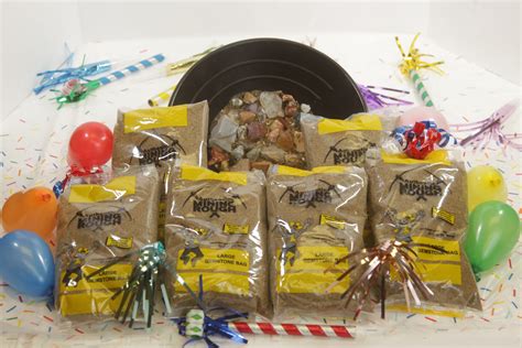 Gemstone Party Pack 6 Mining Kit Activities - Kids Love Rocks