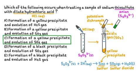 ⛔ Thiosulphate reaction. Sodium Thiosulfate. 2022-10-23