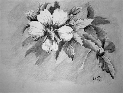 √ Flowers Pencil Drawing