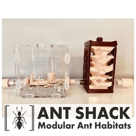 an ant shack model and habitat is displayed on a table with the text ant shack modular ant habitats