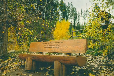 Colorado - Spring Creek Trail - Wit IT - Steamboat Springs