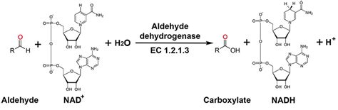 The plant pathogen enzyme AldC is a long-chain aliphatic aldehyde ...