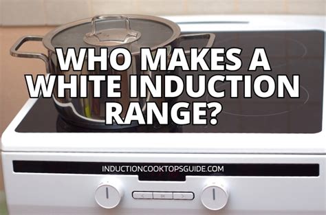 Who makes a White Induction Range? 7 Top Picks - inductioncooktopsguide.com