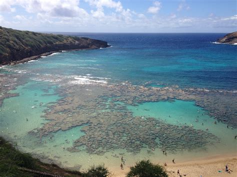 Hanauma Bay Nature Preserve | Nature preserve, Hanauma bay, Nature