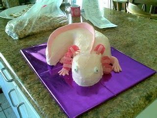 cloth and fodder: How to make an axolotl cake