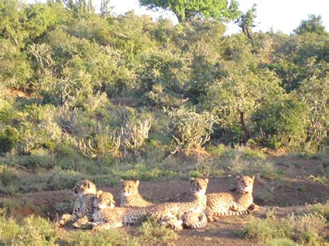 2009 - Eastern Cape Wildlife Colloquium at Rhodes