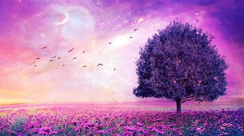 Purple Flower wallpaper HD Free Download