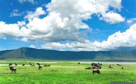 Ngorongoro Crater Facts & Information - Beautiful World Travel Guide