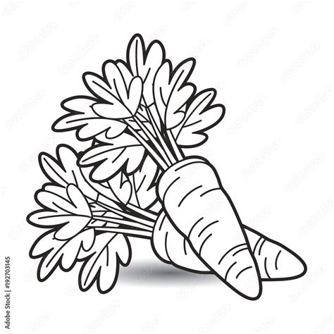 black outline carrot vector cartoon Stock Vector | Adobe Stock