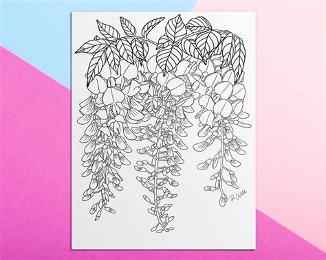 WISTERIA Printable Floral Line Art Adult Coloring Page. Coloring for Mental Health, Stress, and ...