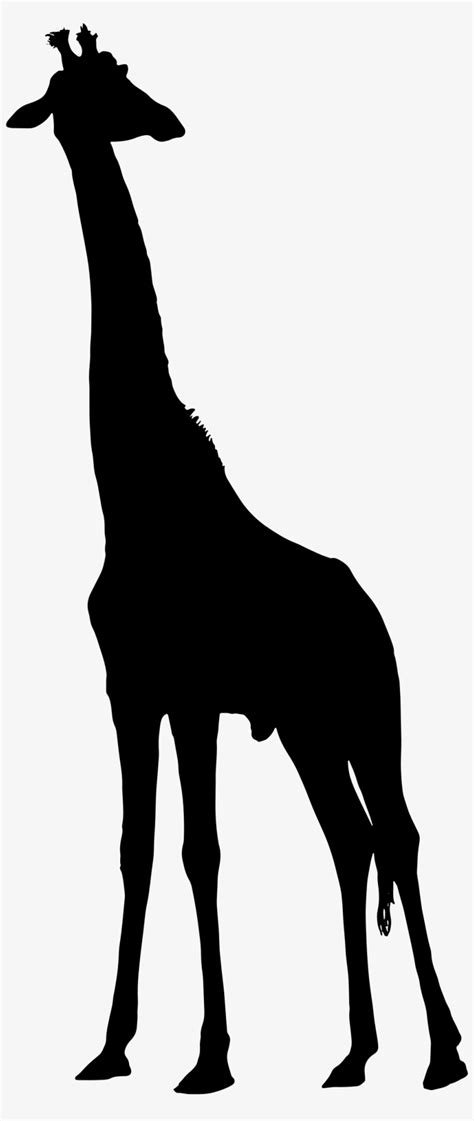 Cute Giraffe Silhouette Baby Giraffe Svg Free - 69+ SVG File for Silhouette