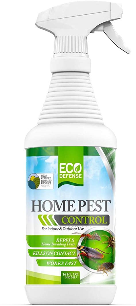 6 Best Stink Bug Repellents – Top Rated and Reviewed (Winter 2024)