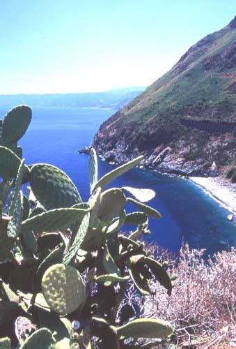 Marina di Palmi beach - Trovaspiagge