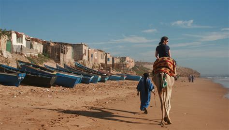 How to ride a camel like a pro in Morocco | Intrepid Travel Blog