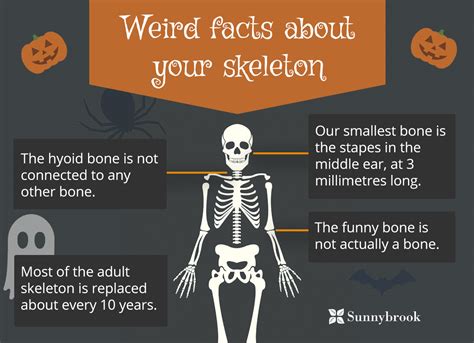 Weird facts about your skeleton