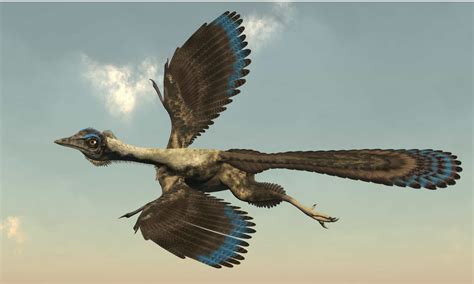 Archaeopteryx Animal Facts | Archaeopteryx lithographica - Wiki Point