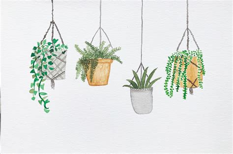 Hanging plants “Don’t leave me hanging” | Plant drawing, Flower drawing ...