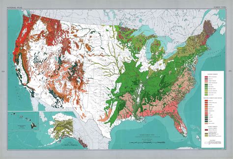 USA Major Forest Types | Map, Usa map, Historical